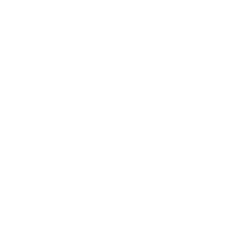 Seguridad-sistema-erp-netxpro